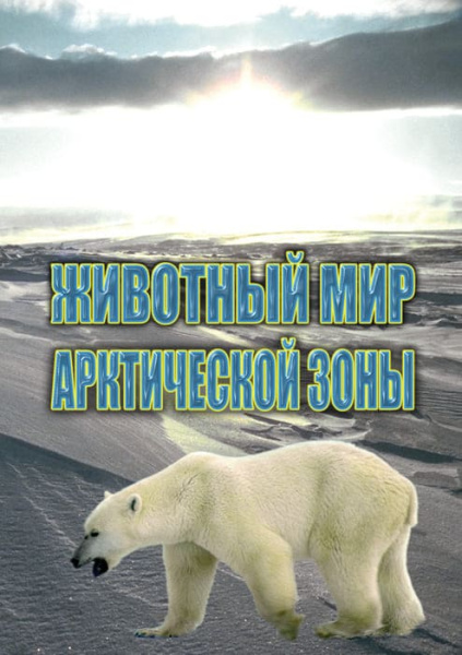 Учебный фильм. Животный мир Арктической зоны (МР4) 21614103МР Учебный фильм. Животный мир Арктической зоны (МР4) 21614103МР