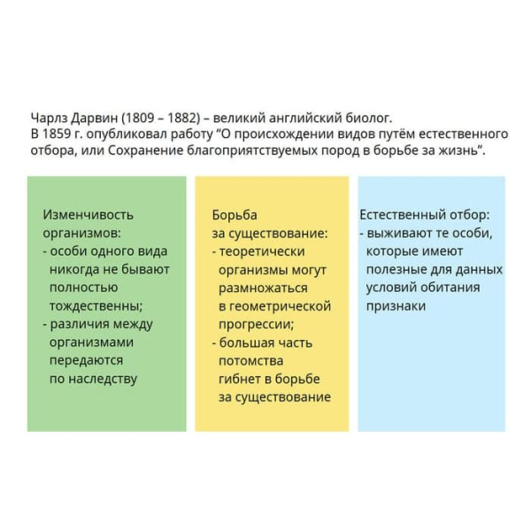 Эволюционное учение. Интерактивное учебное пособие (v.5.0) (BOX. Наглядная Биология) 464-0008177173 Эволюционное учение. Интерактивное учебное пособие (v.5.0) (BOX. Наглядная Биология) 464-0008177173