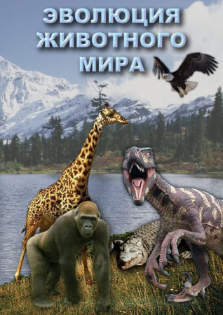 Учебный фильм. Эволюция животного мира (МР4) 216017206МР Учебный фильм. Эволюция животного мира (МР4) 216017206МР