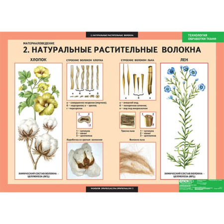 Технология обработки ткани. Материаловедение (Комплект таблиц 7 шт. Технология) 5-8609-007