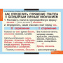 Глаголы (Комплект таблиц 6 шт. Русский язык) 5-8505-005 Глаголы (Комплект таблиц 6 шт. Русский язык) 5-8505-005