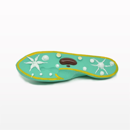 Модель «Инфузория-туфелька» Модель «Инфузория-туфелька»