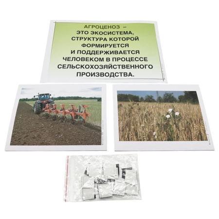 Модель-аппликация Агроценоз