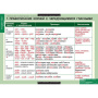 Русский язык (Комплект таблиц 19 шт. 10 кл.) 5-8661-019 Русский язык (Комплект таблиц 19 шт. 10 кл.) 5-8661-019