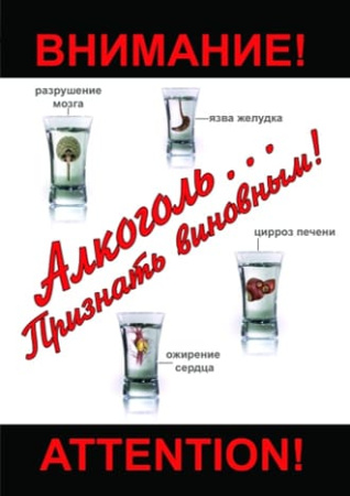 Учебный фильм. Алкоголь... Признать виновным! (МР4) 216006509МР