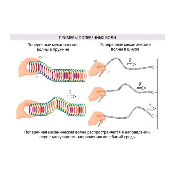 Механические колебания и волны. Интерактивное учебное пособие (v.5.0) (BOX. Наглядная Физика) Механические колебания и волны. Интерактивное учебное пособие (v.5.0) (BOX. Наглядная Физика)