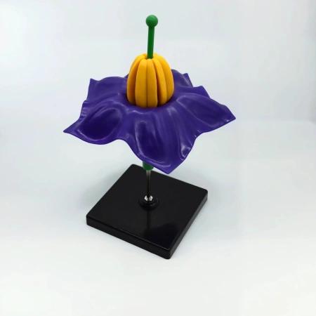 Модель «Цветок картофеля», фиолетовый