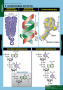 Белки и нуклеиновые кислоты (Комплект таблиц 8 шт. Химия) 2-080-490