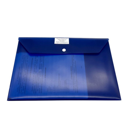 Модель-аппликация Многообразие хордовых. Рыбы, земноводные и пресмыкающиеся (низшие)